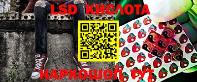 гашик Кимры