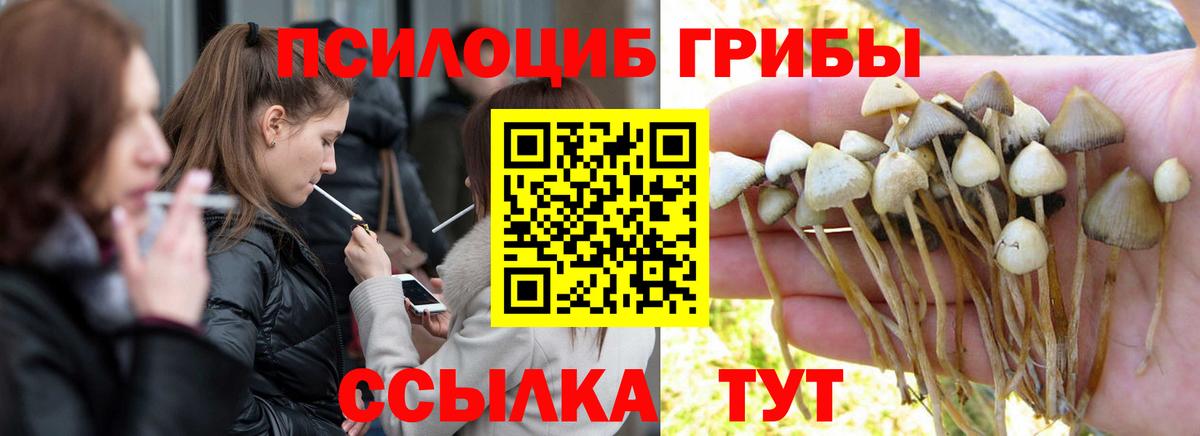 Псилоцибиновые грибы Magic Shrooms  Вход с VPN  Аксай  Псилоцибиновые грибы Psilocybe 