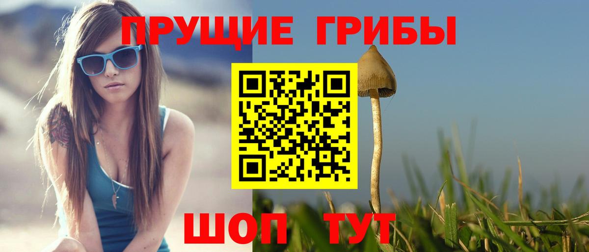 Галлюциногенные грибы Psilocybe Аксай